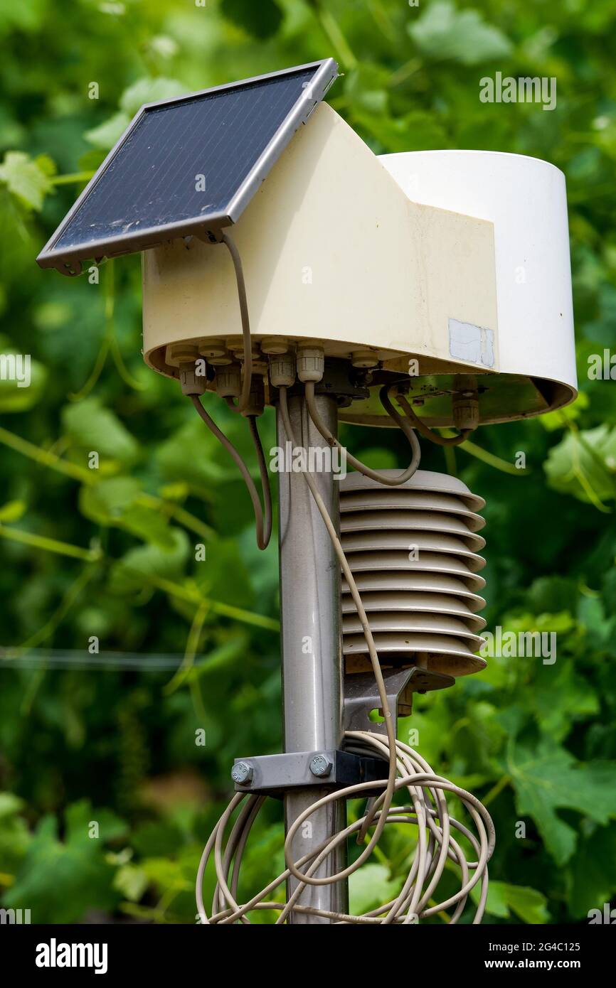 Solar powered hygrometer, vineyards, Tain l'Hermitage, Drome, Rhône Valley, AURA, France Stock Photo