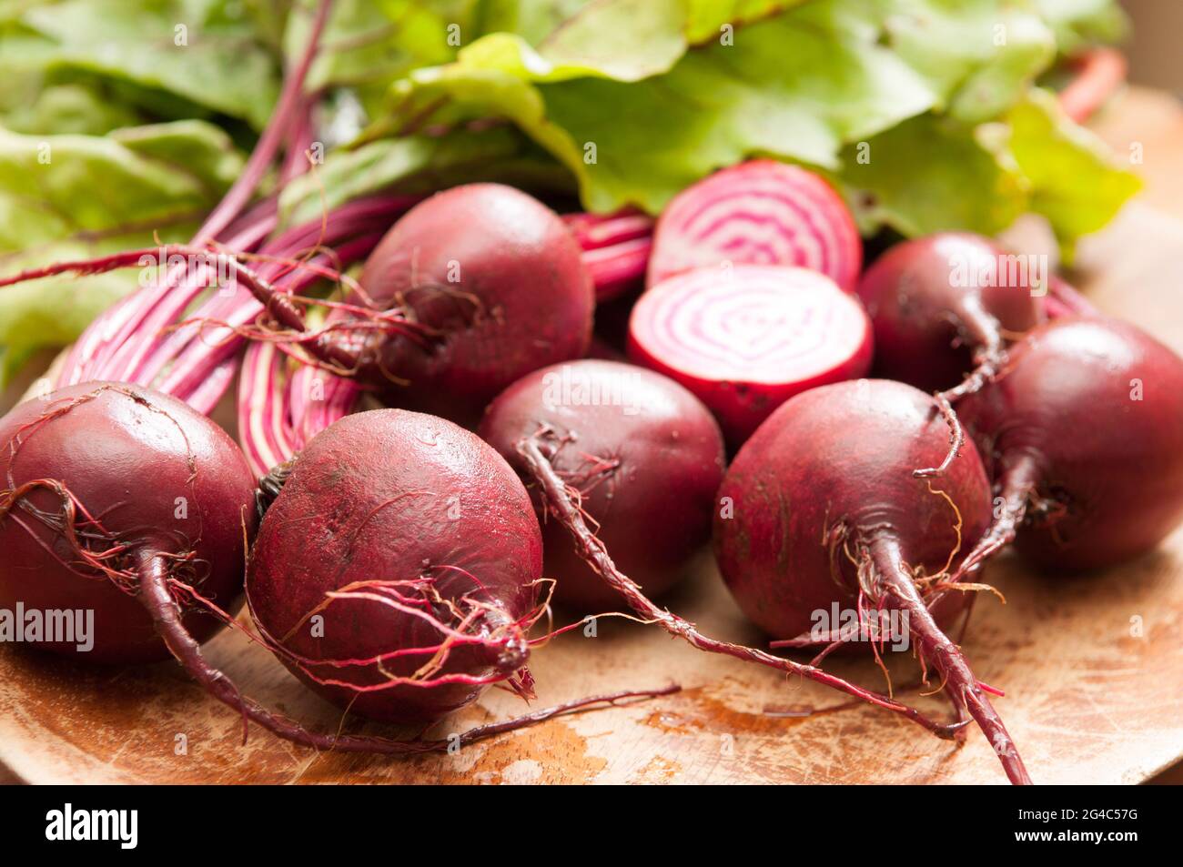 Candy stripe beet hires stock photography and images Alamy