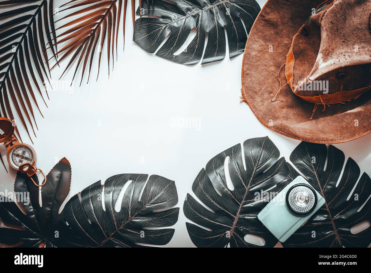 Tropical leaves, cowboy hat, compass, old flashlight, retro style, minimal layout, travel concept, blank white background, surreal color Stock Photo