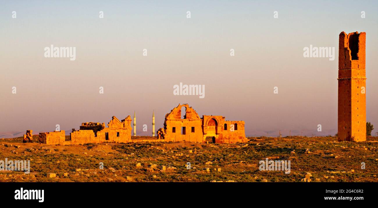 Ruins of the ancient city of Harran in upper Mesopotamia, near the province of Sanliurfa in Turkey. Stock Photo