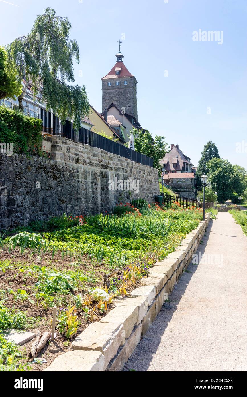 The city of Waldenburg, Hohenlohe district, Germany: Around the ancient city wall, with Lachners Tower in the background Stock Photo