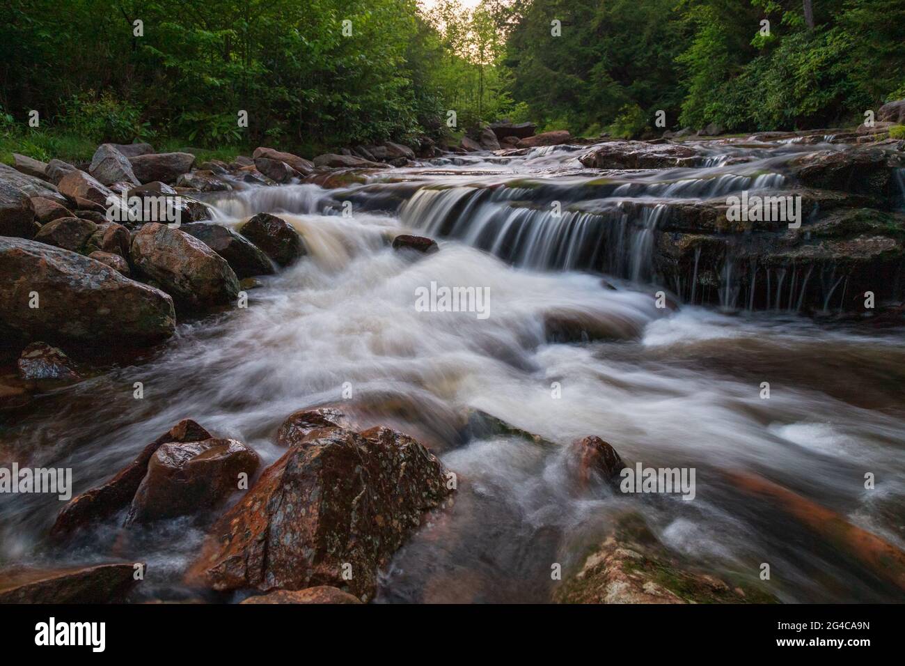 The beautiful rushing waters of Red Creek in Dolly Sods, West Virginia Stock Photo Alamy