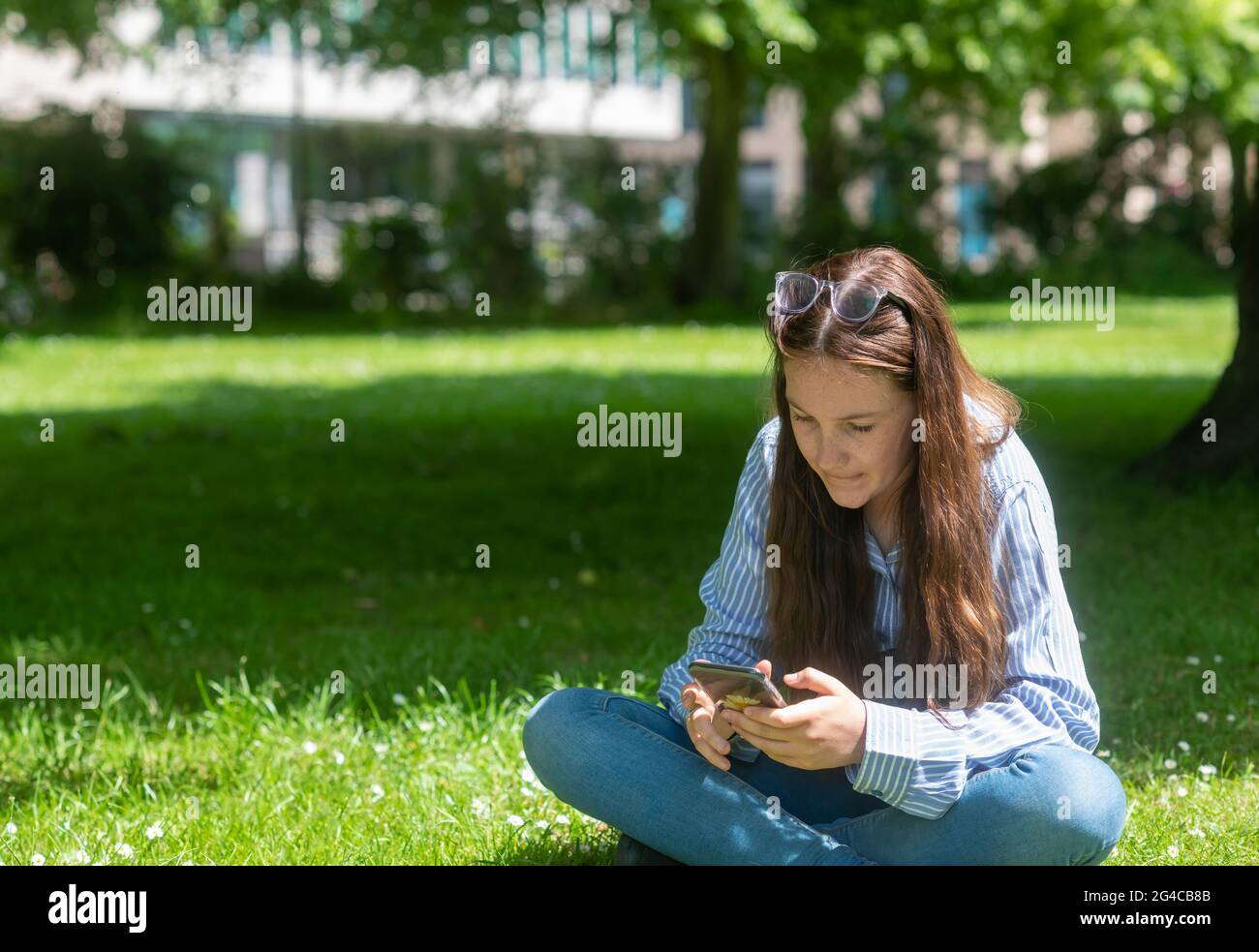 Female teenager in casual clothes sitting cross legged on grass concentrating on using mobile phone on sunny summer day in green park, copy space  lef Stock Photo