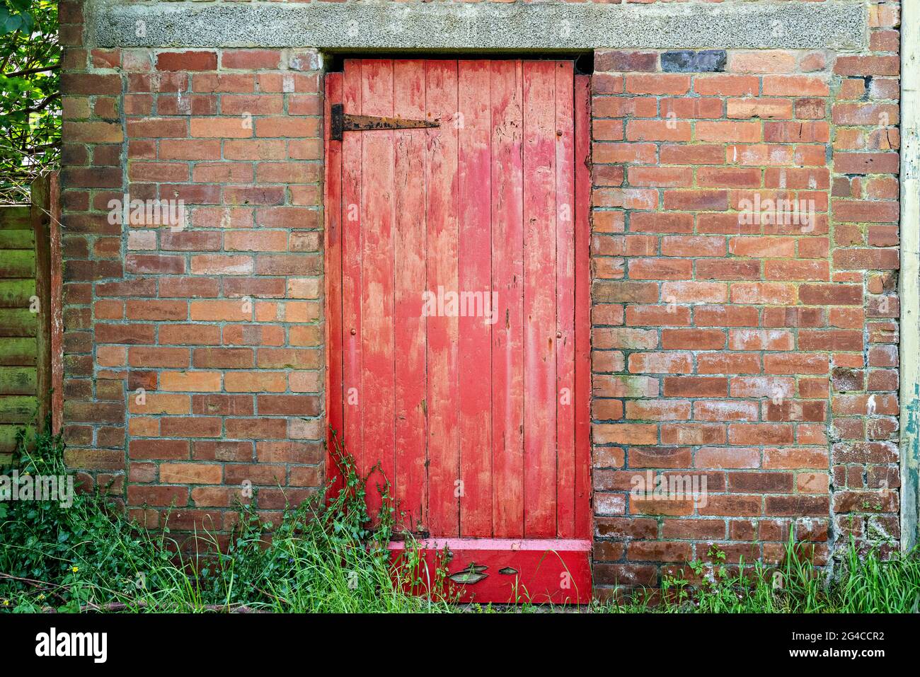 Old door painted red in town back street Stock Photo