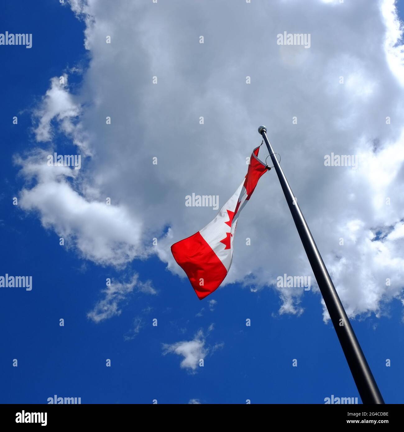 Canada maple leaf flag flapping in a gentle breeze and against a summery bright blue sky with puffy white clouds. Stock Photo