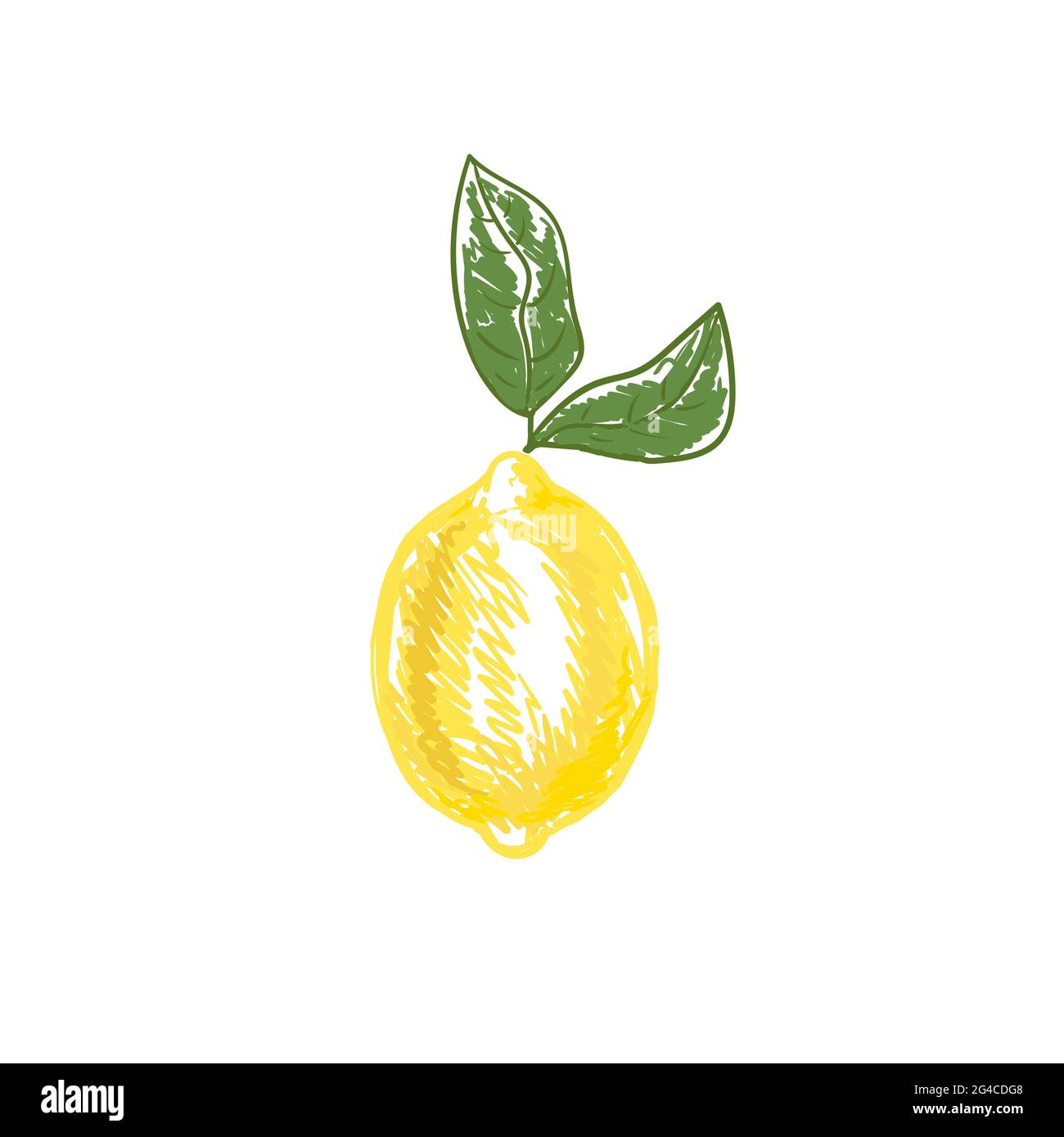 Print.Lemon with leaves isolated.Stock vector illustration isolated on white background. Stock Vector