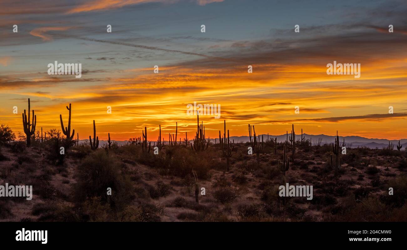 Wide ratio image of a coloful desert sunset landscape in the Phoenix AZ area. Stock Photo