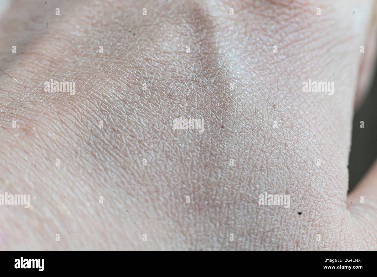 close up macro texture of the human caucasian skin Stock Photo - Alamy