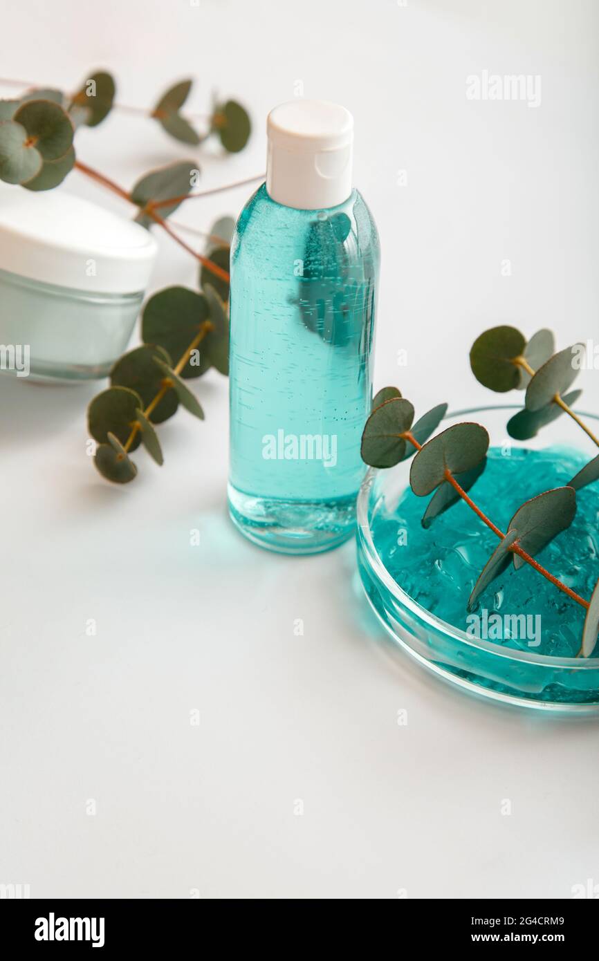 Essential oil of eucalyptus leaf hires stock photography and images Alamy