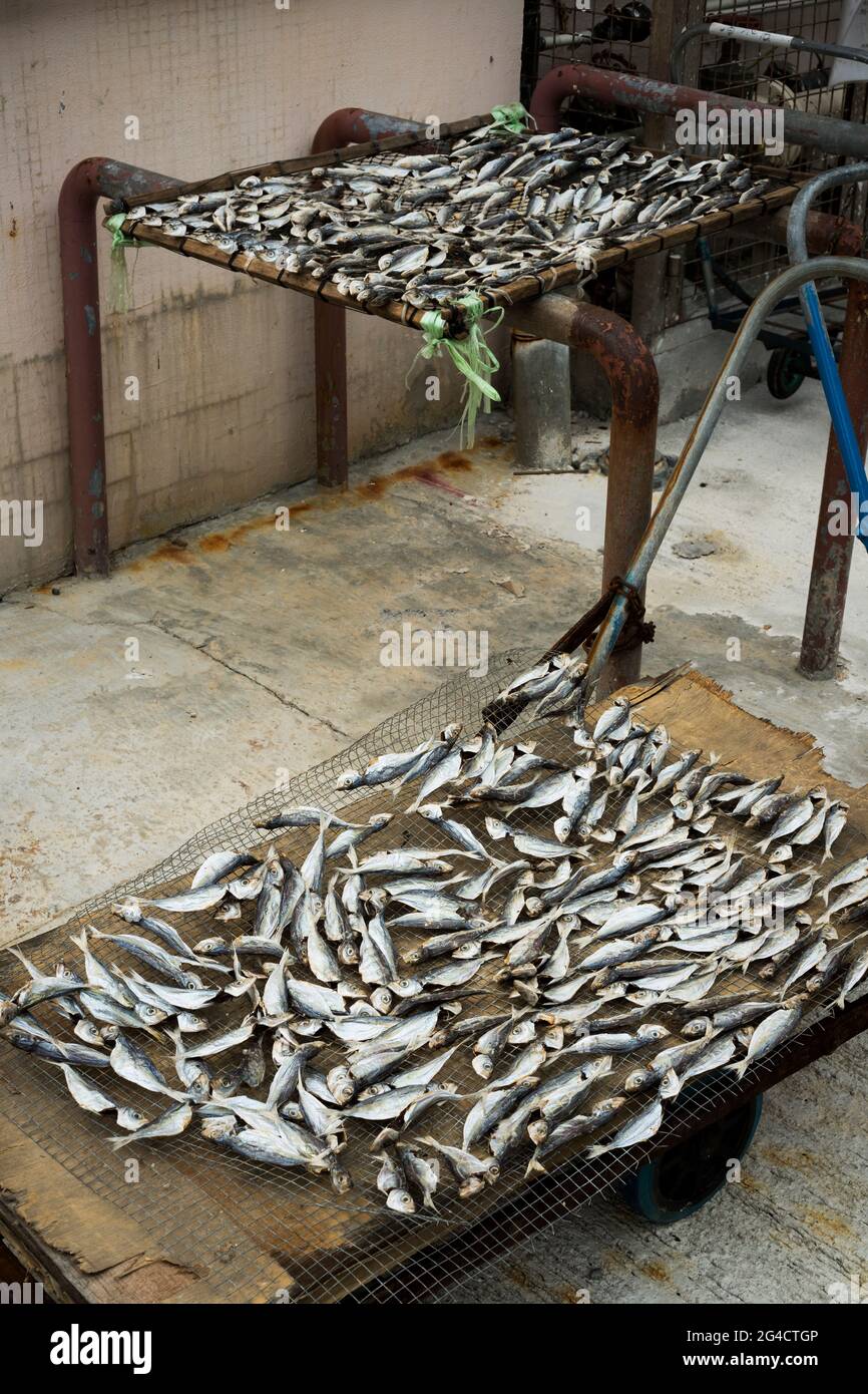 Locally caught fish drying on racks outside the wet market, Sai Kung, New Territories, Hong Kong Stock Photo