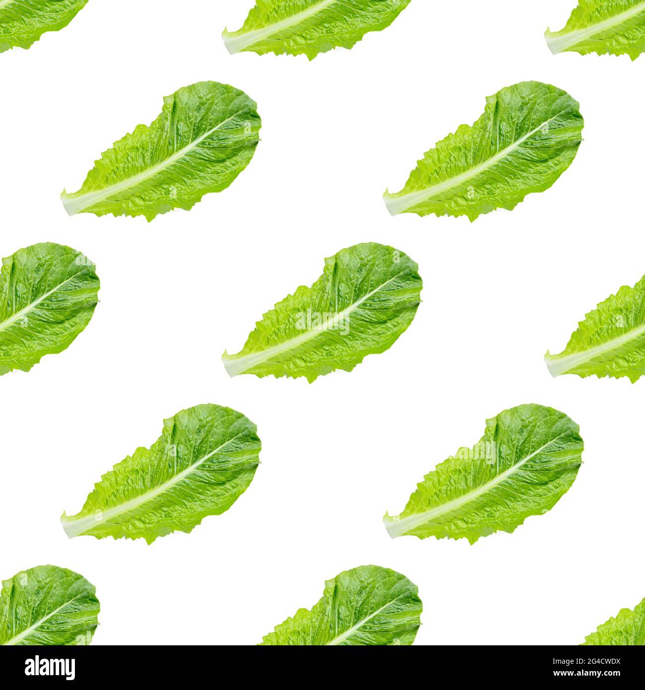 Fresh raw green romaine lettuce leaves seamless pattern on white ...