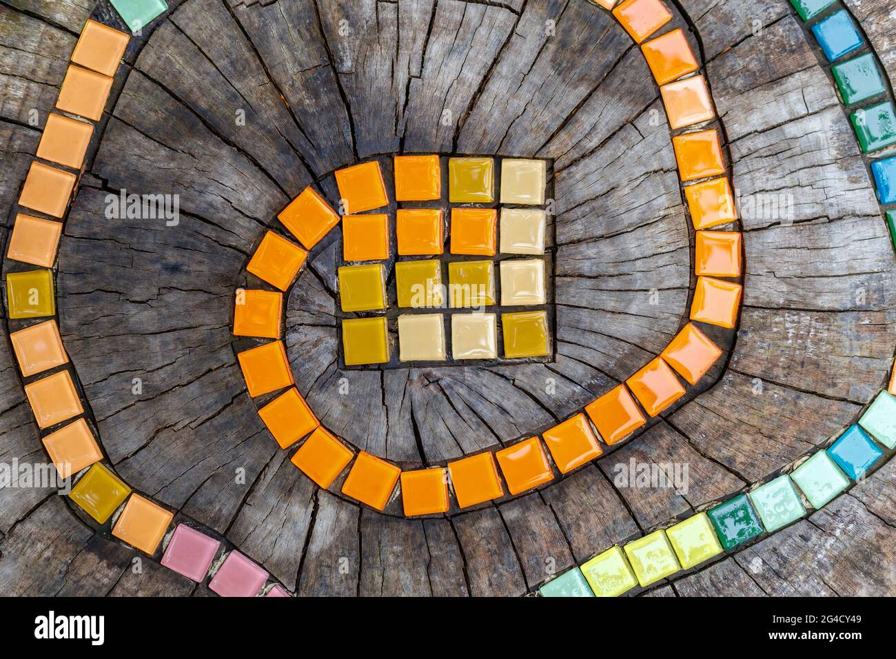 Mosaic tiles on round cut down tree with cracks stump outside. DIY ...