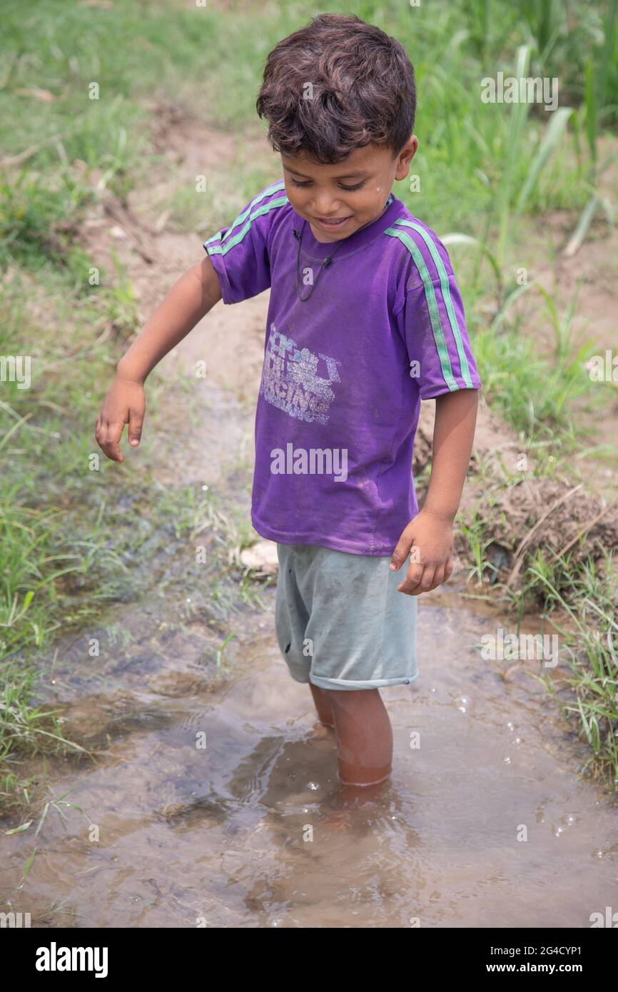 Poor Indian child standing rice paddy filed in outdoor background Stock ...