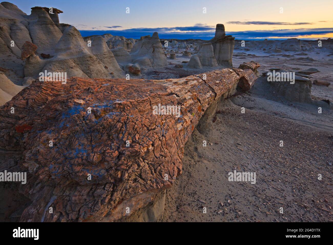 Bisti & De Na Zin Wilderness, New Mexico, USA Stock Photo