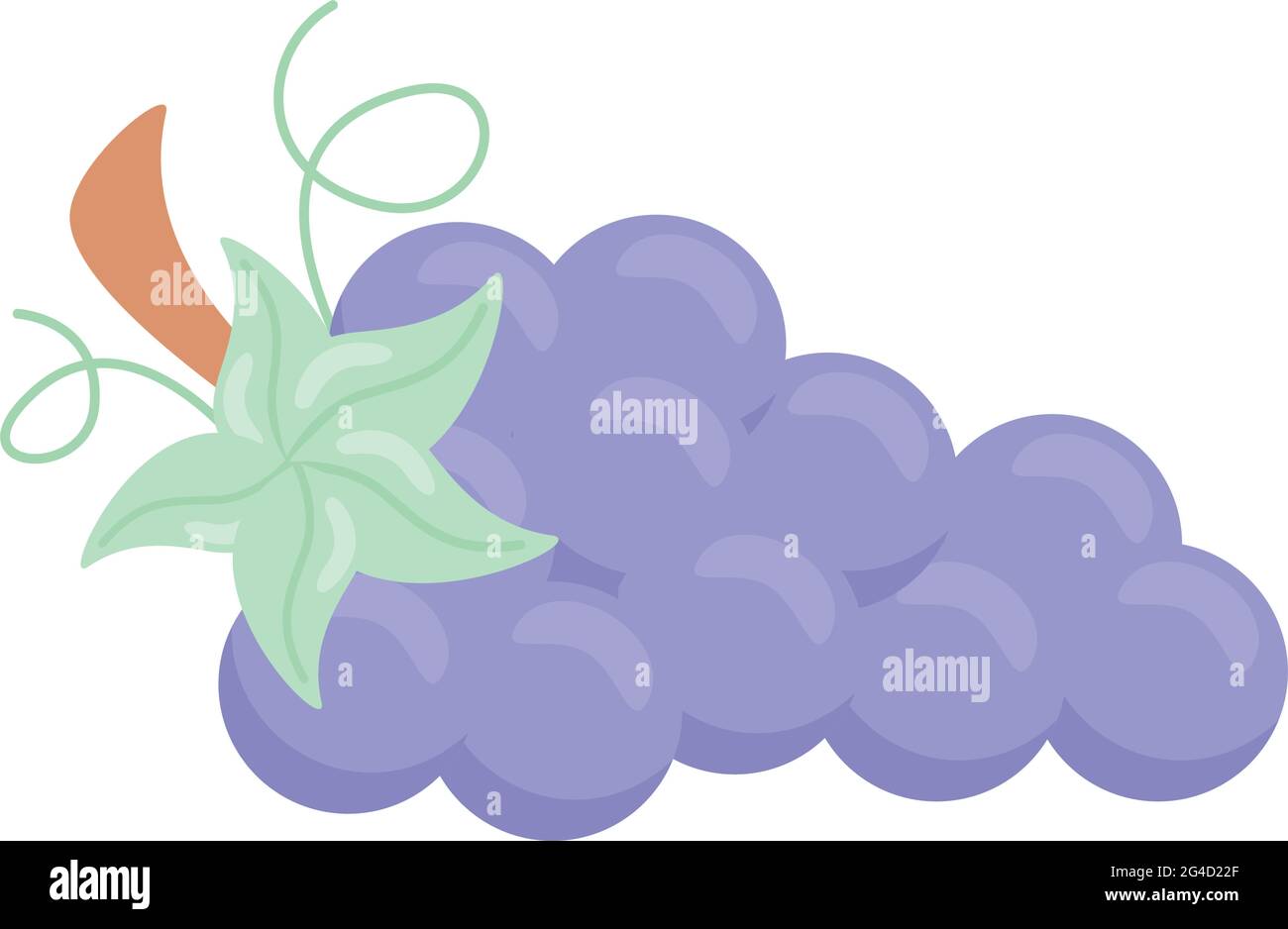 grapes fresh fruits nature icon Stock Vector Image & Art - Alamy