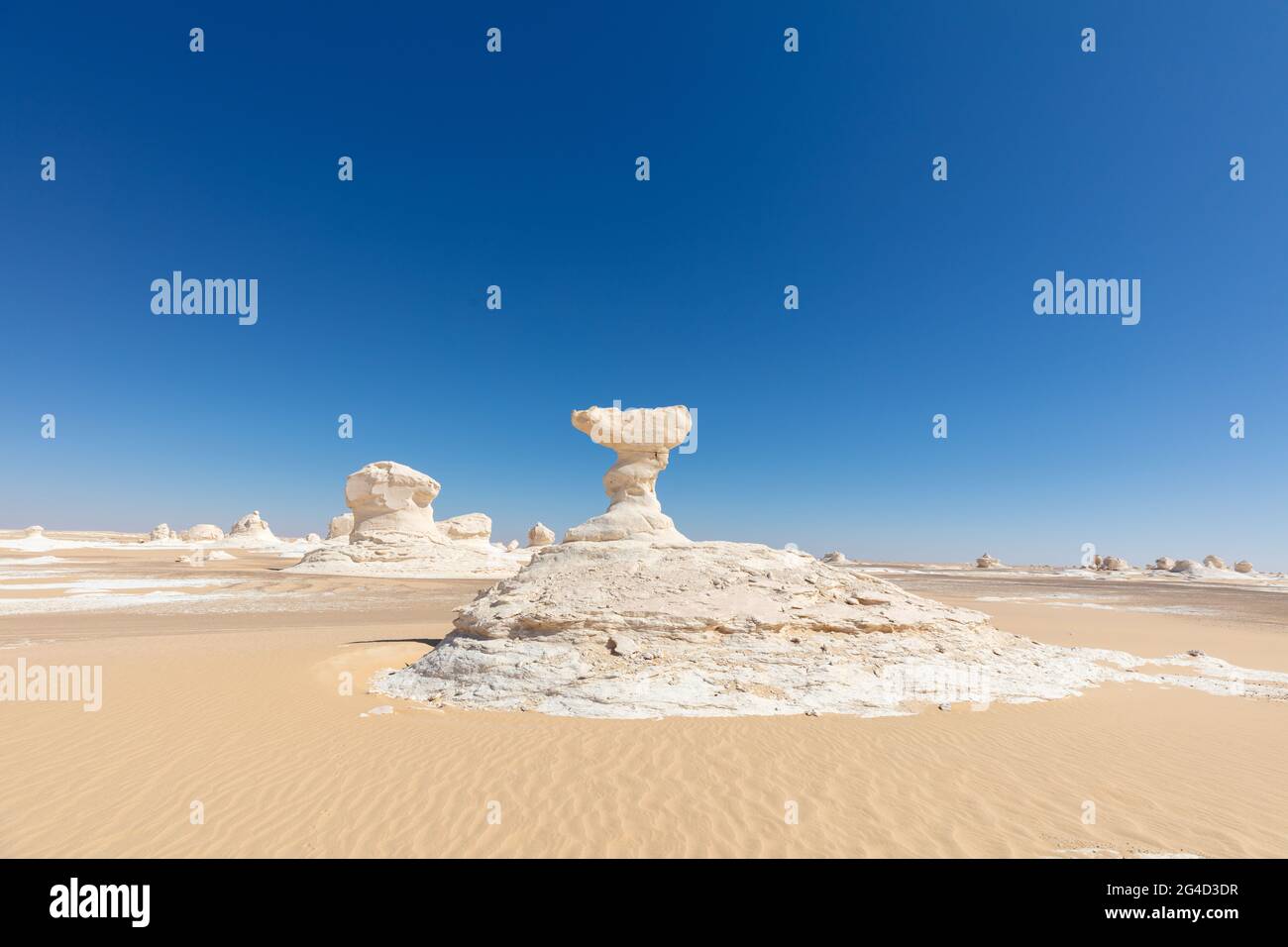 Mushrooms rock formations in the impressive White Desert Stock Photo