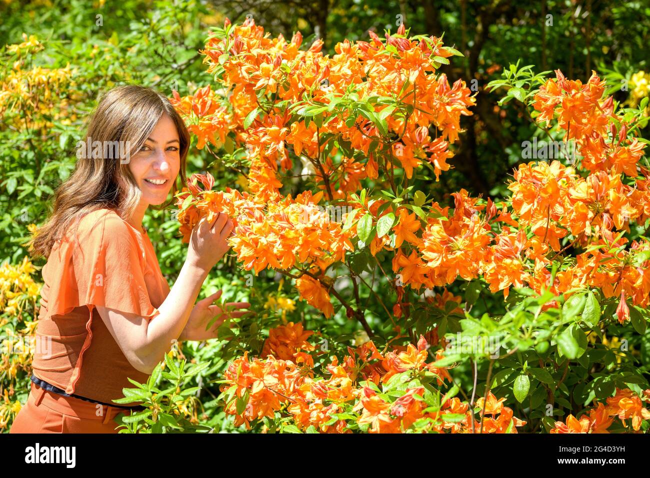 Trendy woman in matching outfit admiring colorful orange azaleas in spring looking back at the camera with a happy friendly smile Stock Photo
