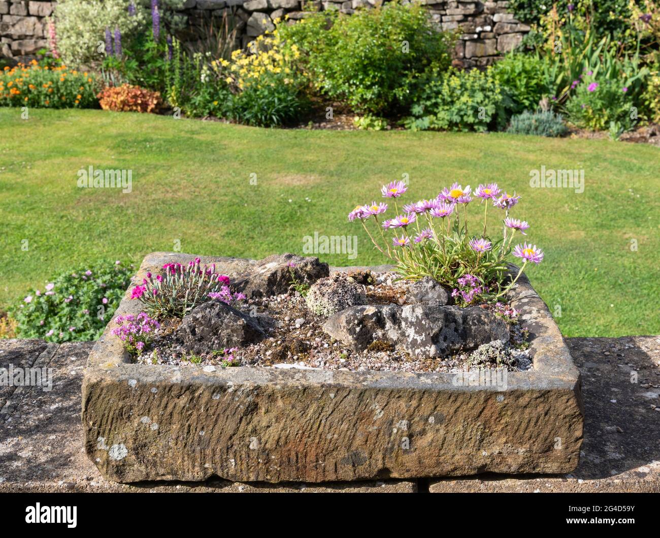 A planted stone sink in a garden Stock Photo