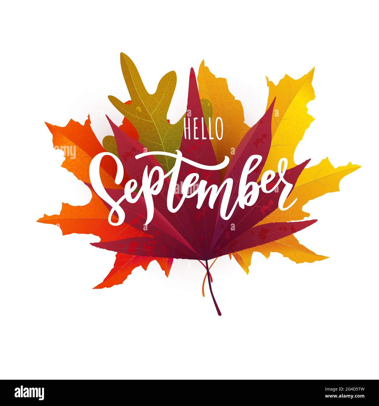 September text. Hand lettering typography. Stock Vector