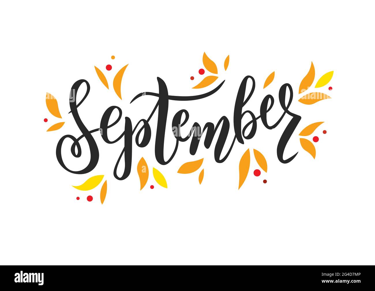 Hand sketched September text. Lettering typography.Vector illustration Stock Vector