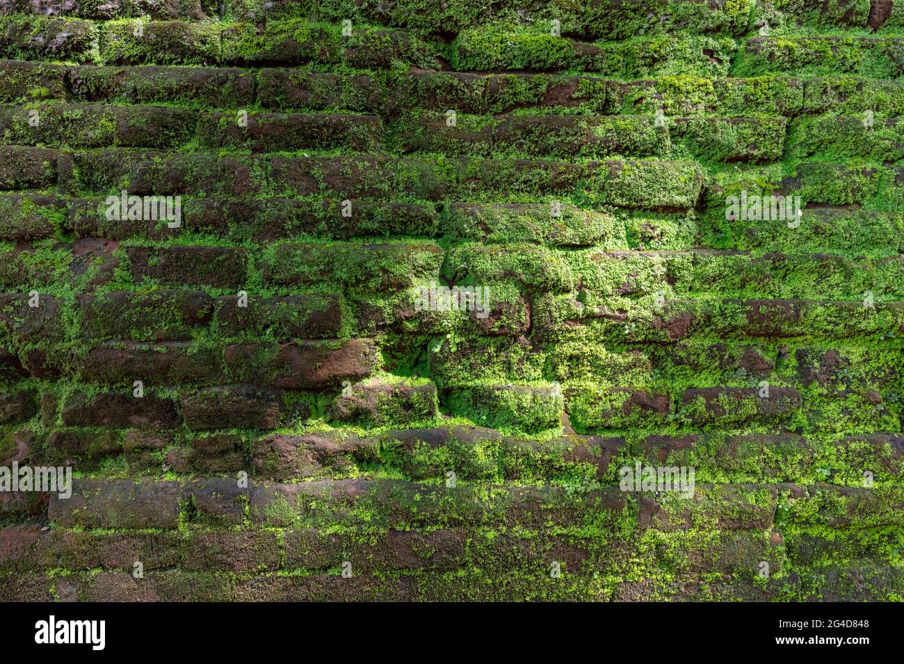 Unique vintage stone wall background with green moss , texture in ...