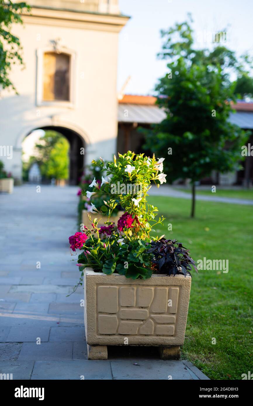 A large ceramic flower pot stands by the sidewalk leading to the entrance to the church. Picture