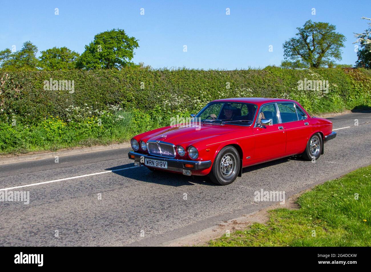 1979 70s red Jaguar XJ 4235cc petrol British 4dr kuxury saloon, en-route to Capesthorne Hall classic May car show, Cheshire, UK Stock Photo