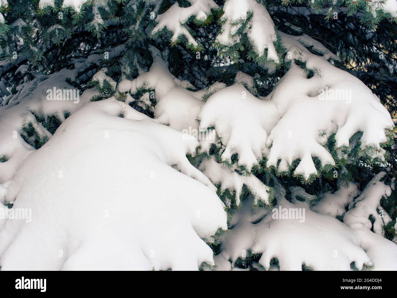 Christmas decorations and accessories Stock Photo