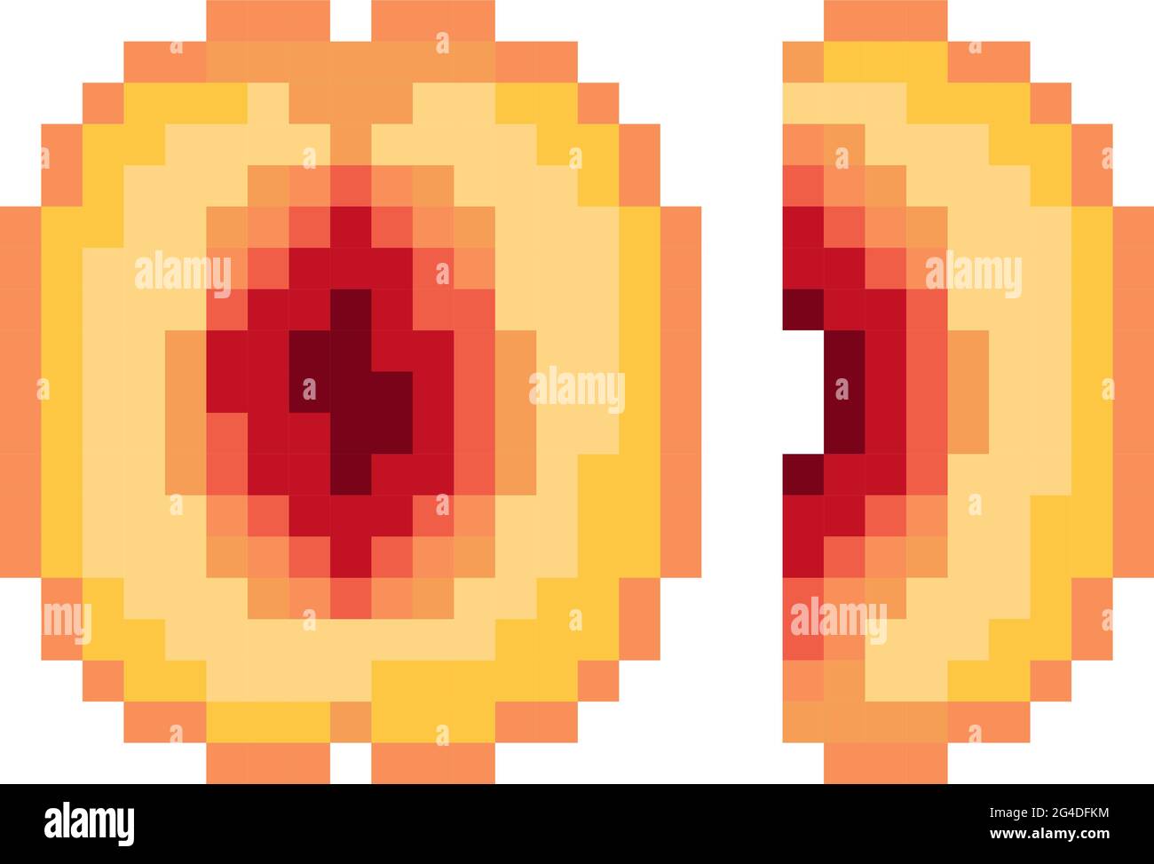 Cuts cross section Stock Vector Images - Alamy