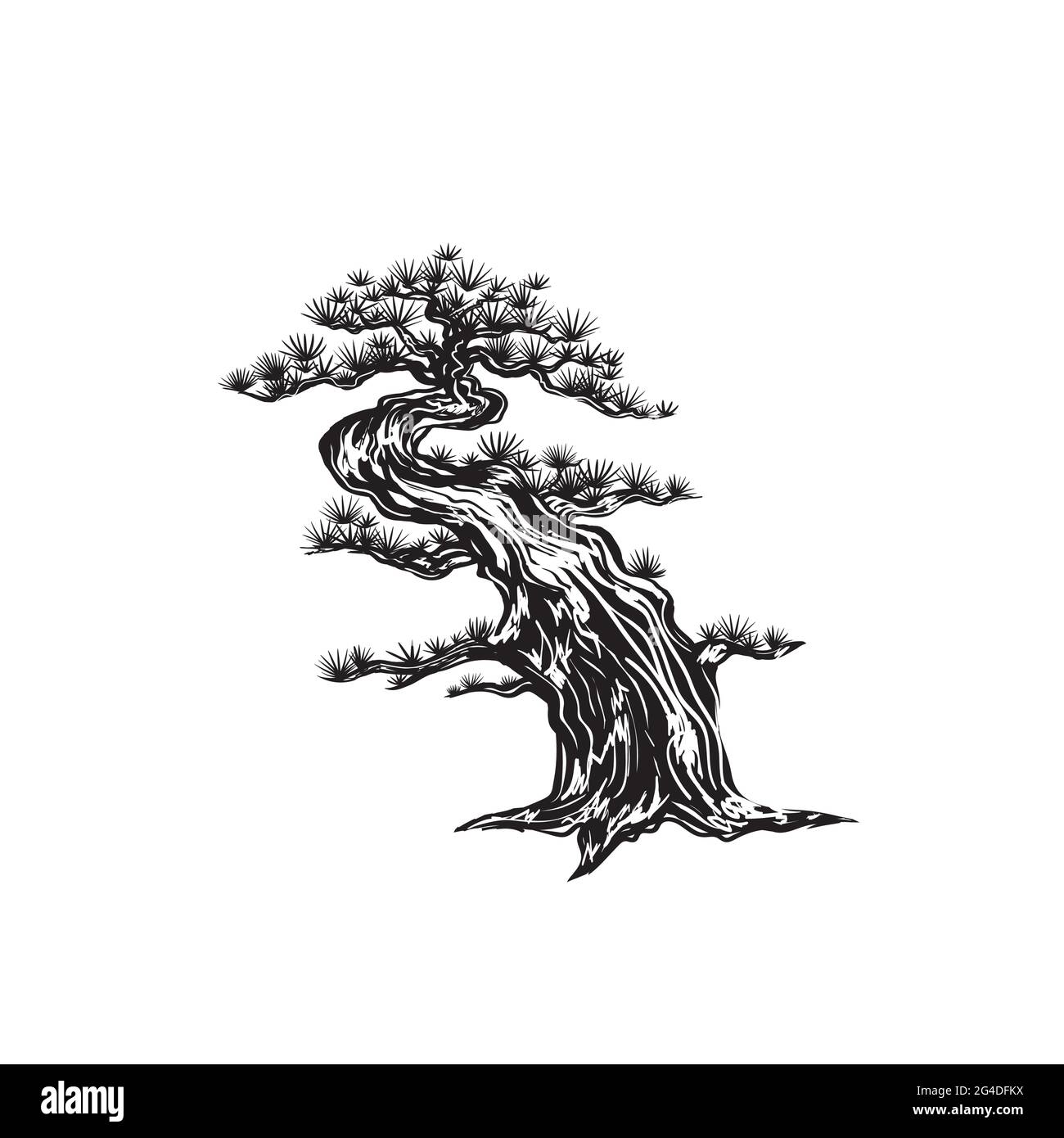 Japanese Bonsai Trees Drawing