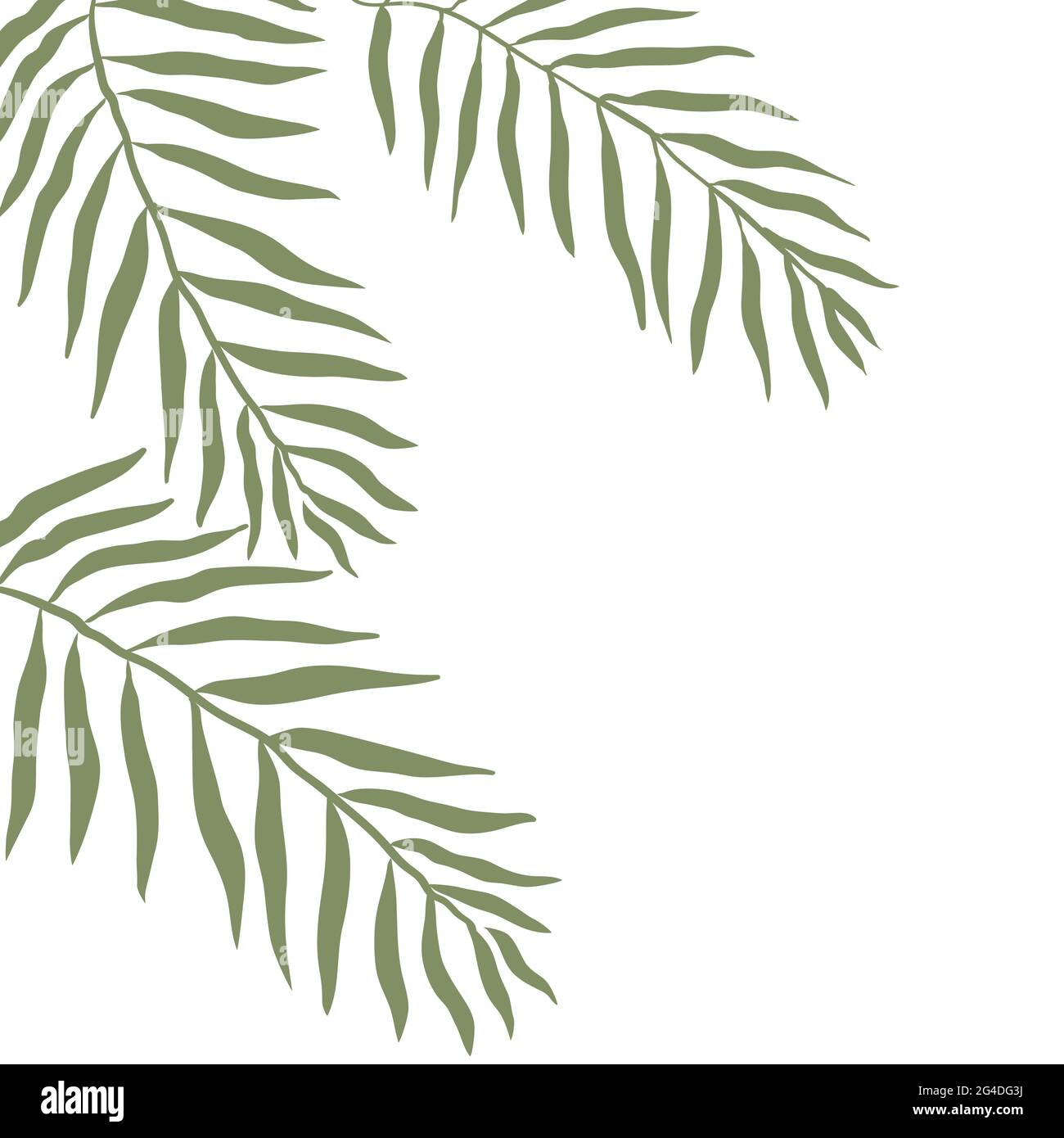 Tropical background with leaves with space for your design.Stock vector illustration isolated on white background. Stock Vector