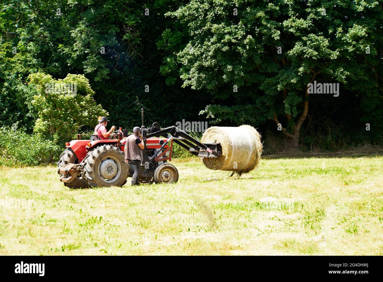Heuernte im Naturschutzgebiet Obststreuwiesen Erftaue, Weilerswist, Nordrhein-Westfalen, Deutschland Stock Photo