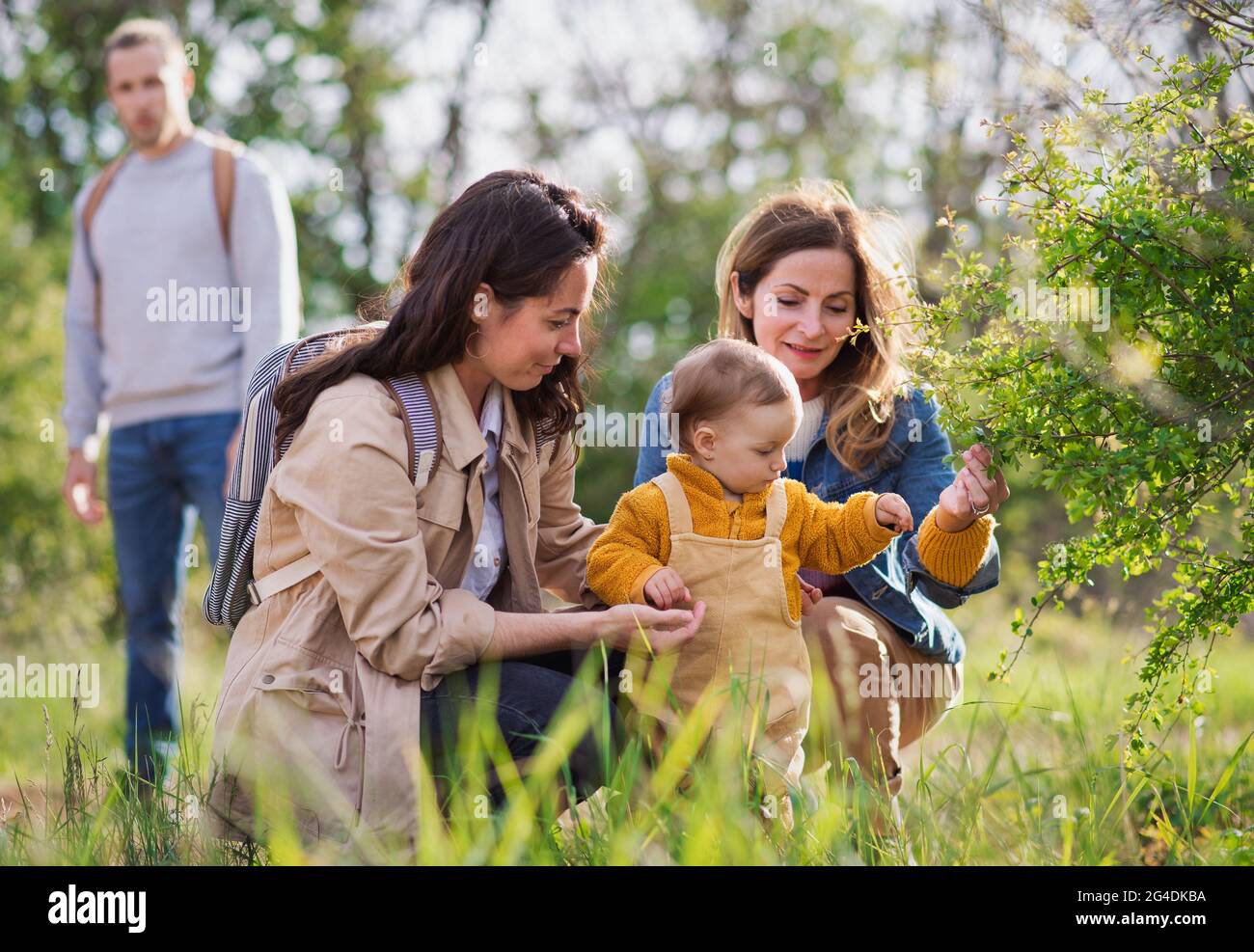 Small toddler with parents and grandparents on a walk outdoors in nature. Stock Photo