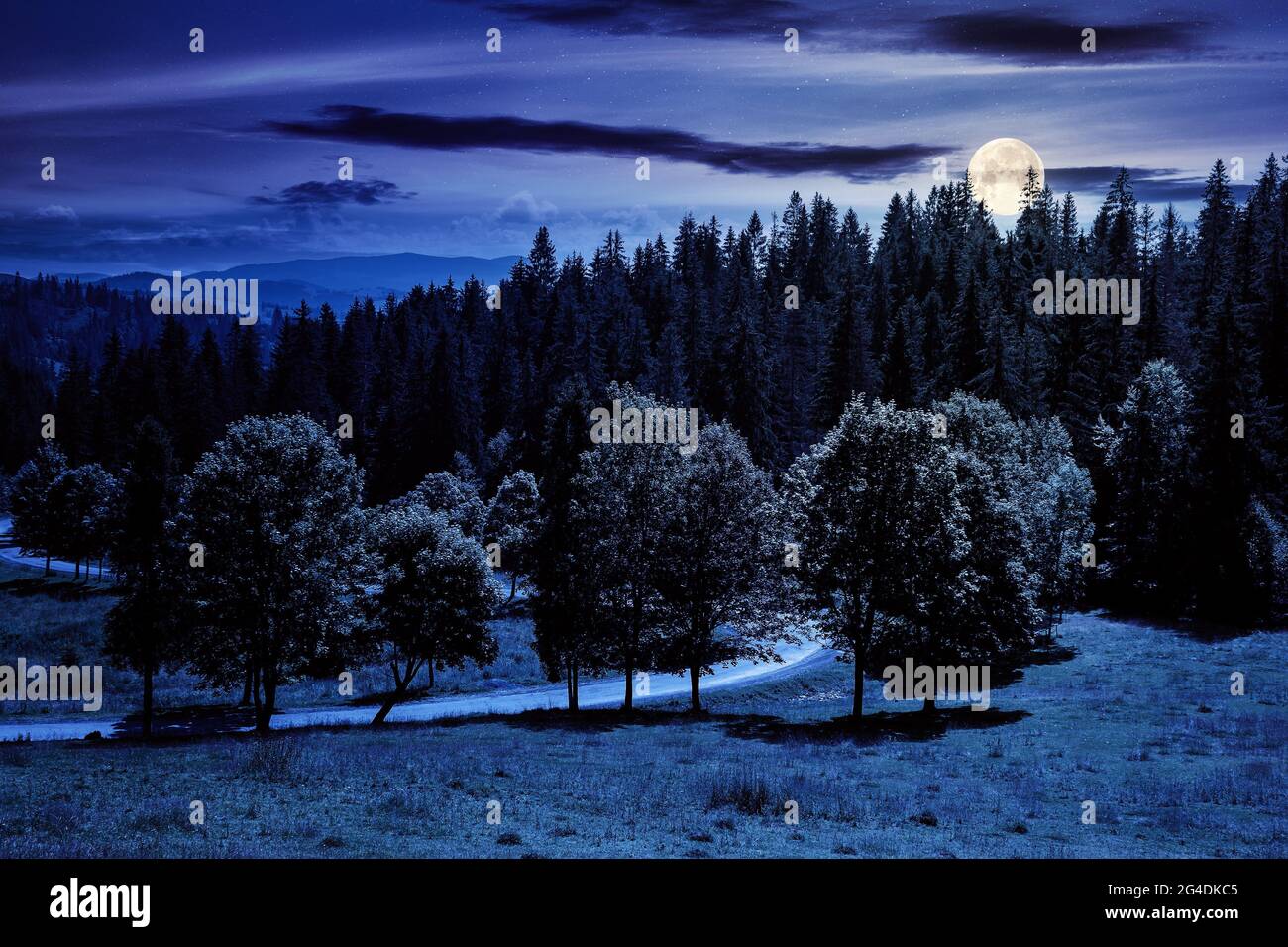 Moon Light Countryside mountainous countryside landscape at night. trees on the meadow along ...