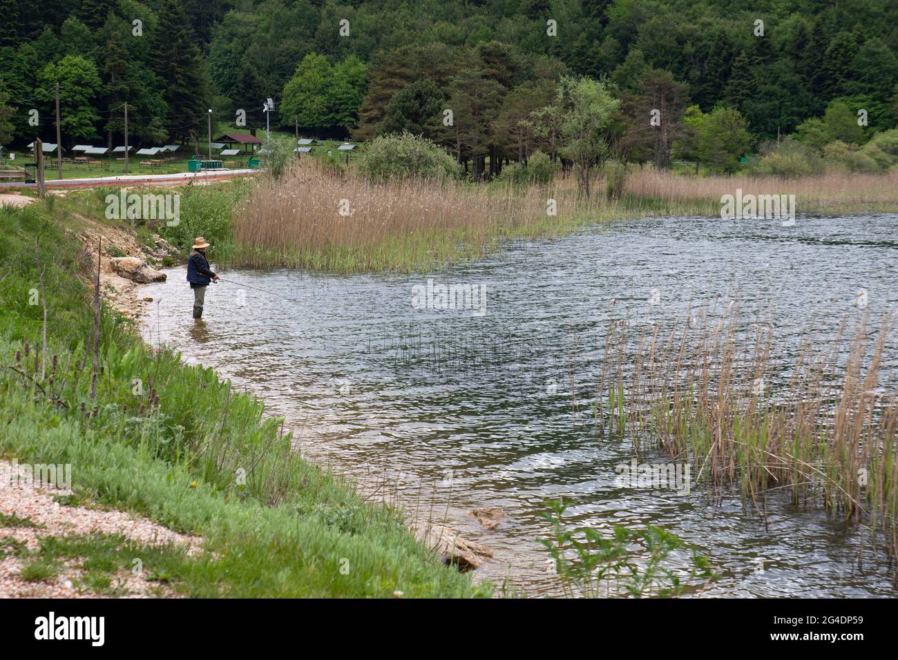 A man is fishing alone by the lake, among the reeds, with a fishing rod. Bolu Abant national park. Stock Photo