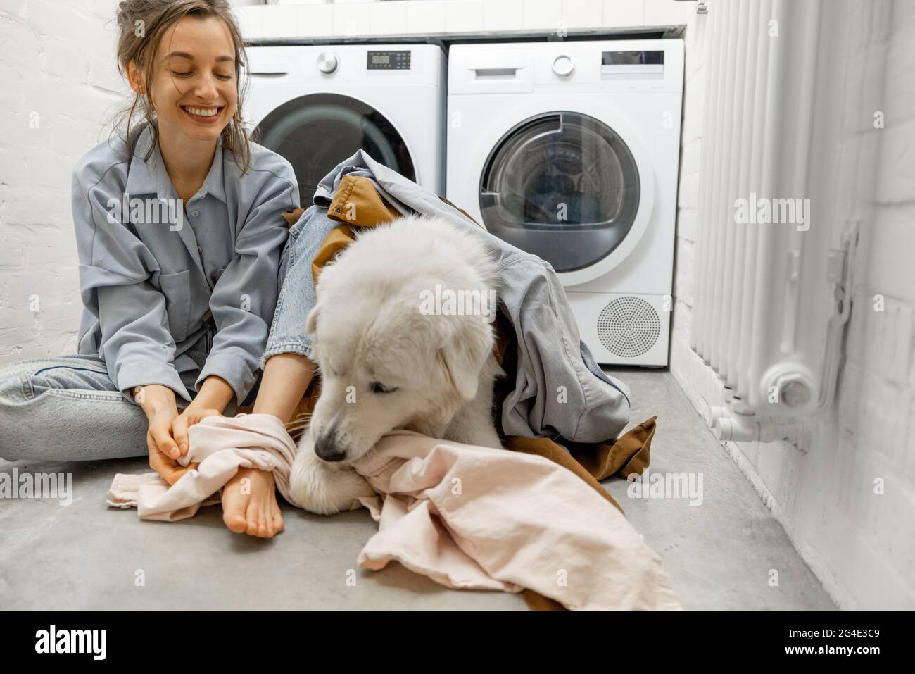 Why Does My Dog Like Dirty Laundry