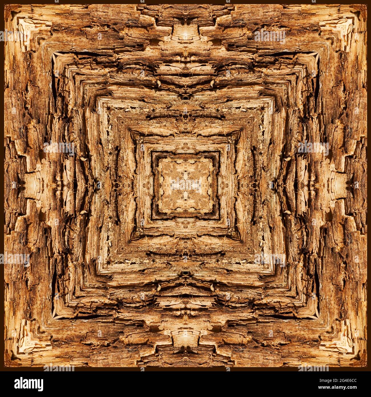 Kaleidoscope of rotting wood Stock Photo