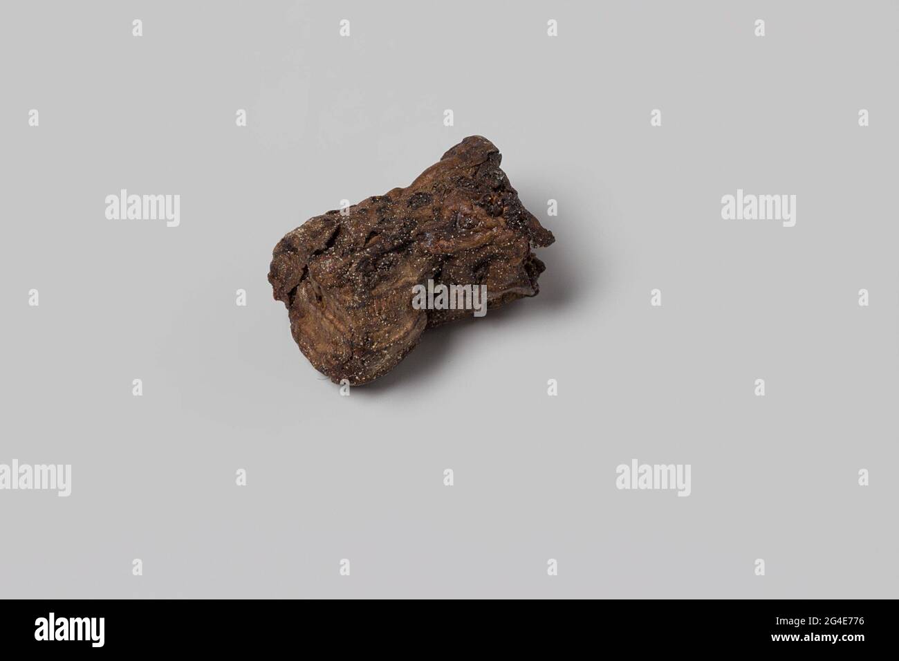 Cork from the wreck of the East Indiesman 't flying heart. The brown cork comes from a wine bottle (see dimensions). Cork. Stock Photo