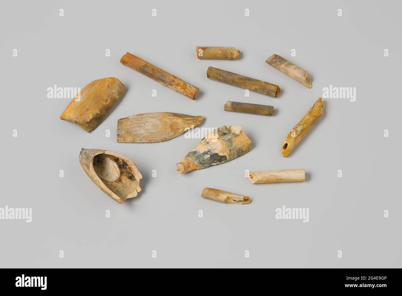 Pipes and stalks from the wreck of the East India Flying Heart. Four ...
