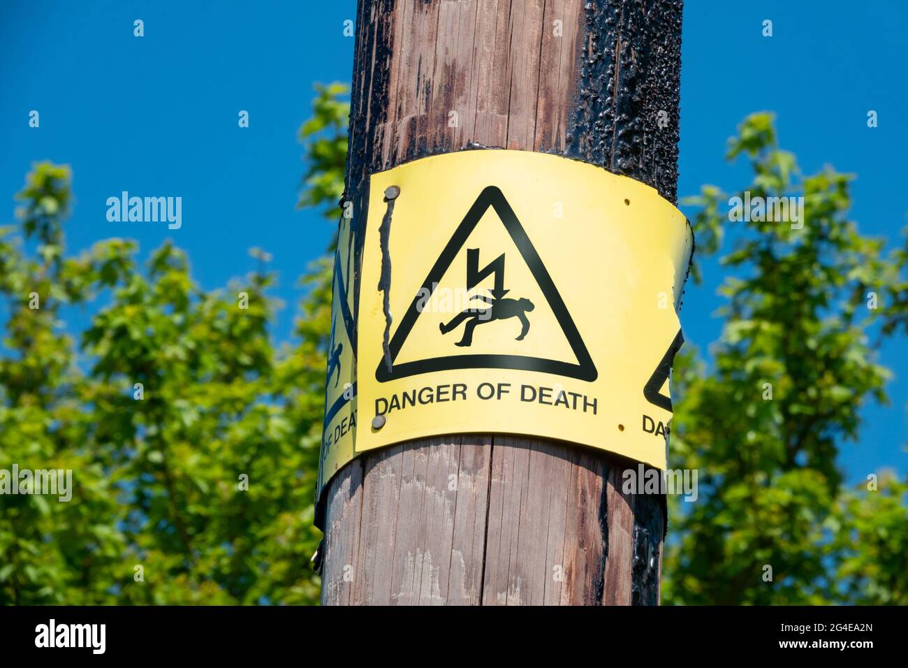 Danger of Death sign in yellow and black on a wooden telegraph pole with a vivd blue sky in the background and a green hedge in soft focus Stock Photo