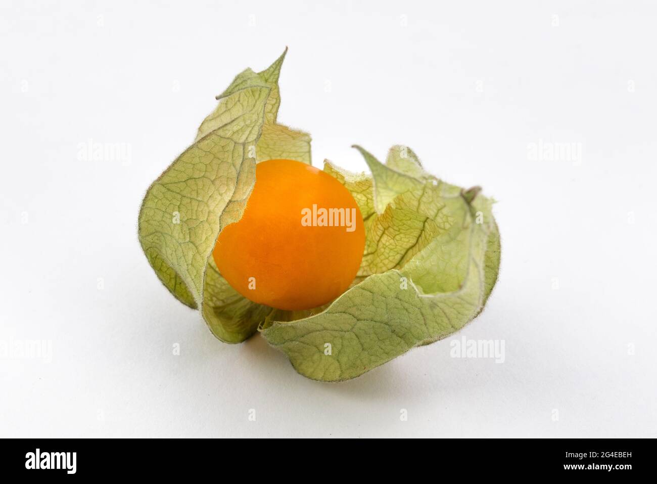 Golden berry hires stock photography and images Alamy