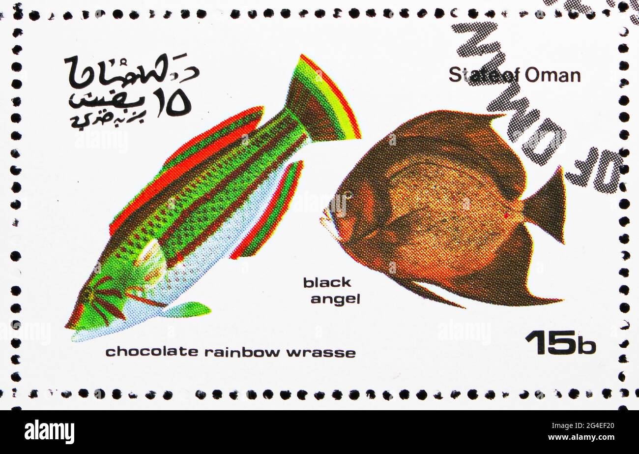 MOSCOW, RUSSIA - APRIL 24, 2021: Postage stamp printed in Cinderellas shows Black angel and Chocolate rainbow wrasse, Oman serie, circa 1974 Stock Photo