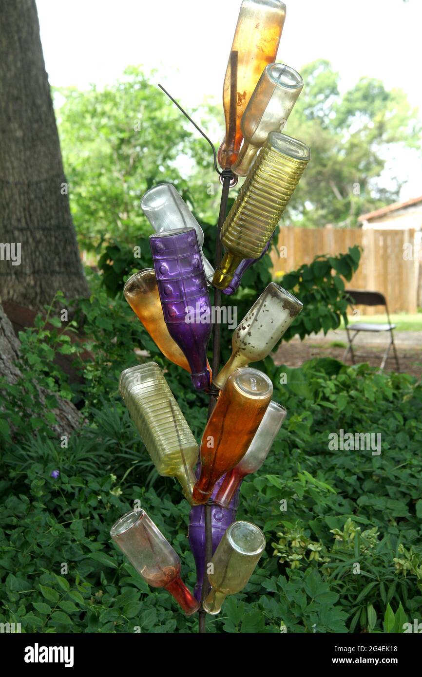 Bottle tree in the garden Stock Photo Alamy