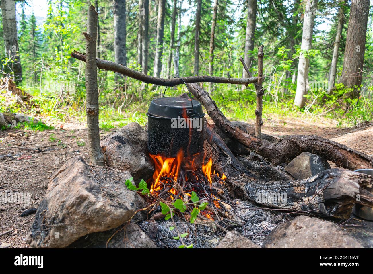 Cooking in a pot over a campfire in the forest during summer hiking in