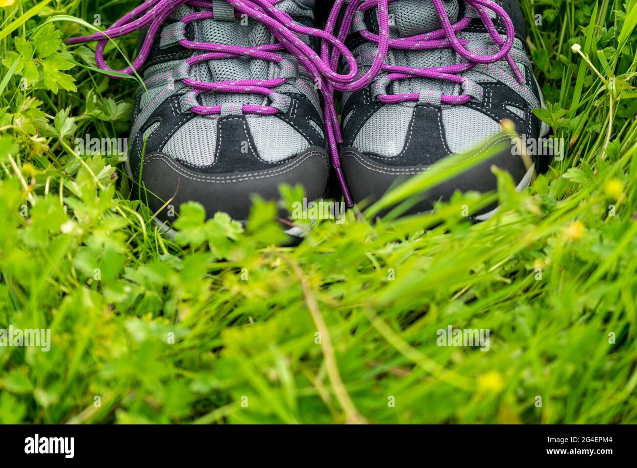 Pair of outdoor shoes on bushy green grass, a closeup on fronts of grey