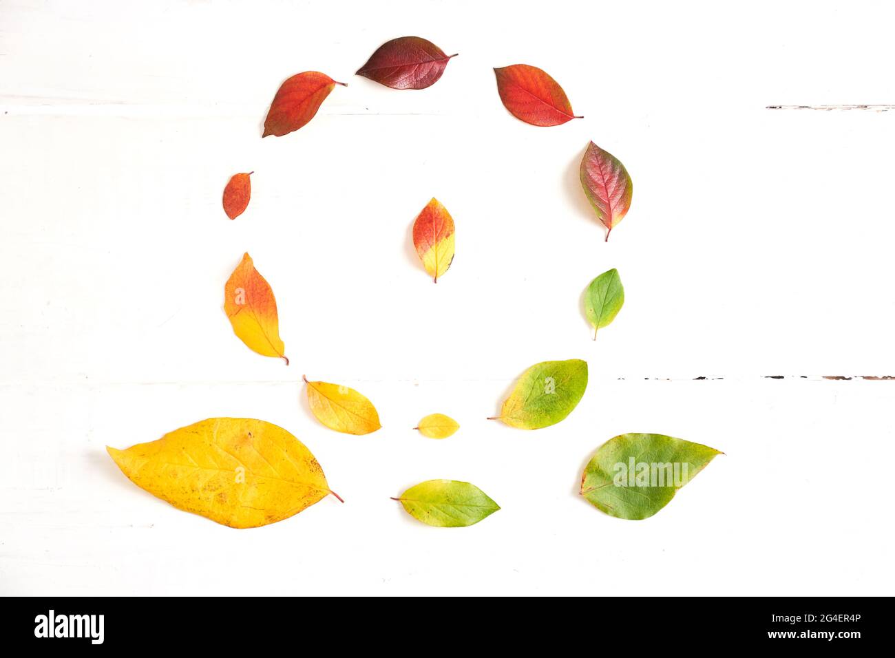 Circle of colorful autumn leaves in the form of a gradient text frame ...