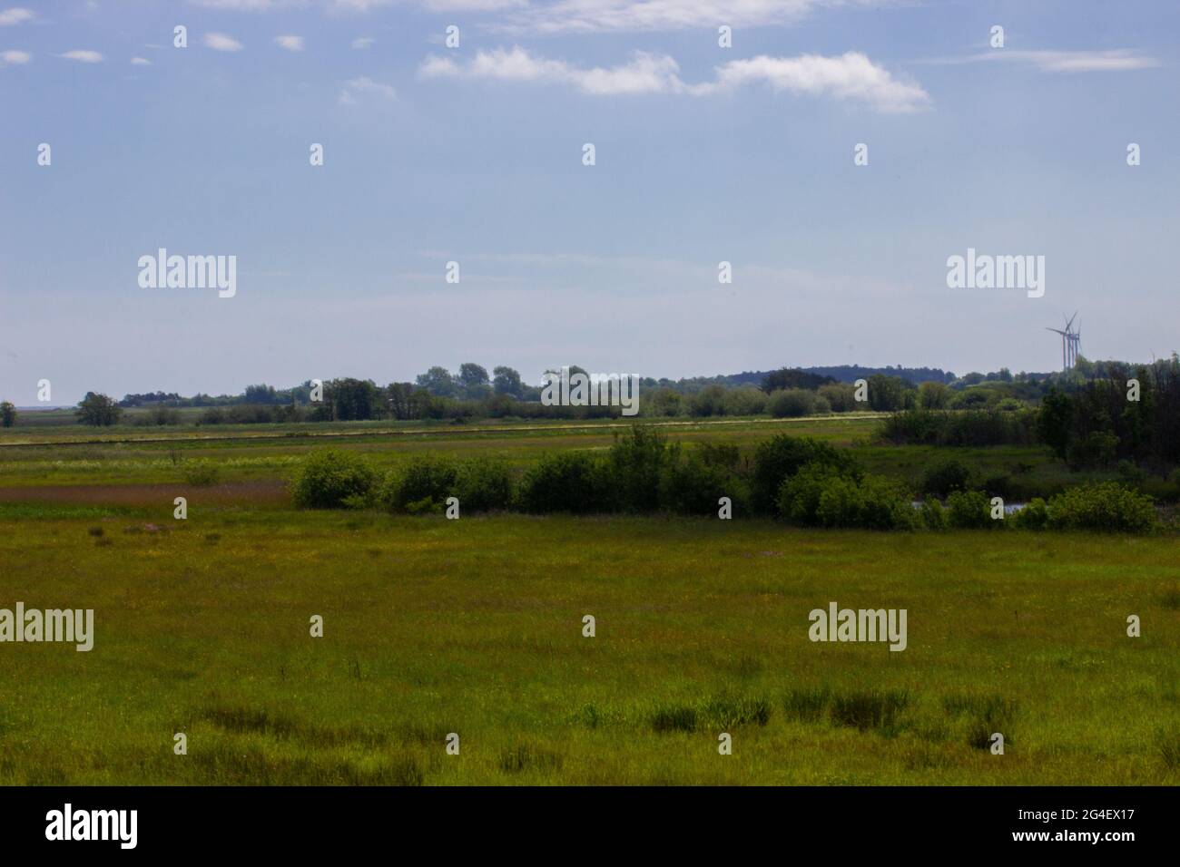 A summer landscape with a field of grass, blue sky, and sun Stock Photo ...