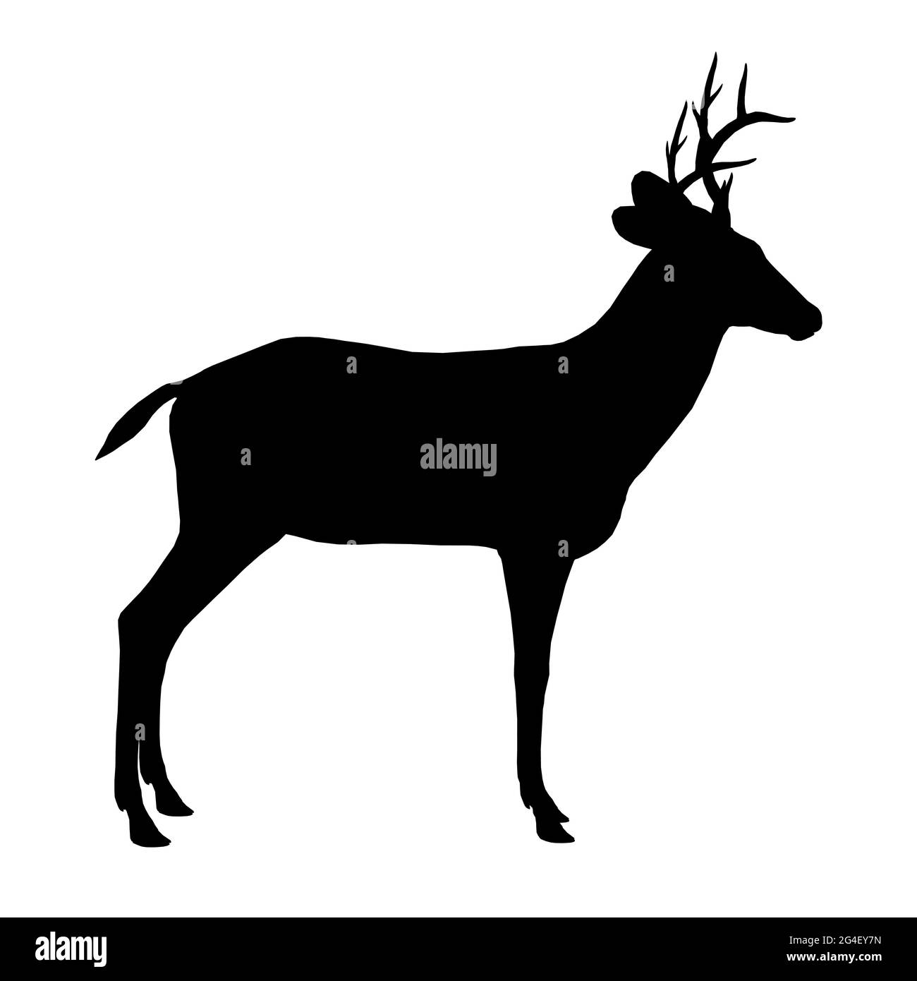 Deer silhouette isolated on white background. Side view. Vector ...