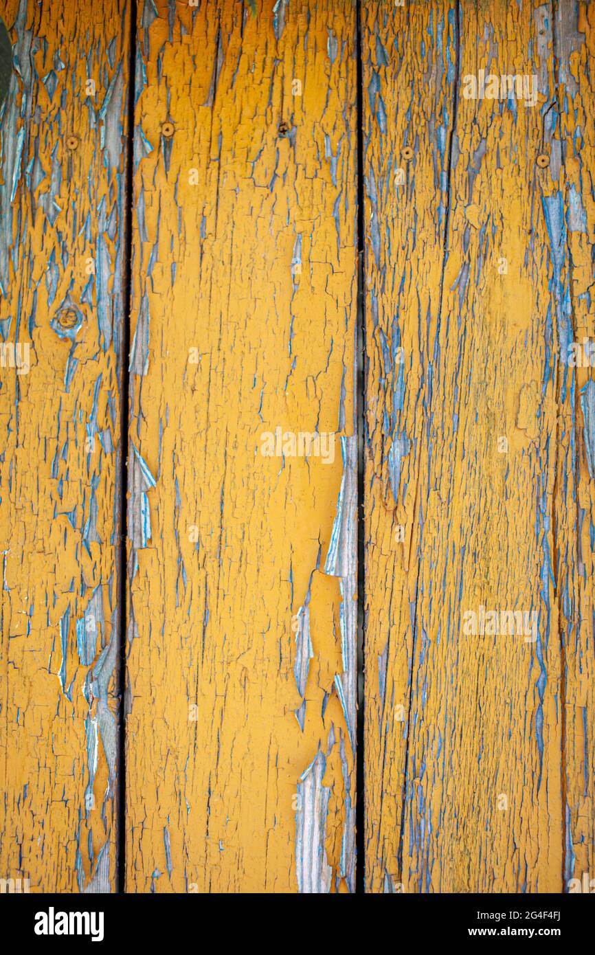 Wood texture with yellow flaked paint. Peeling paint on weathered wood ...
