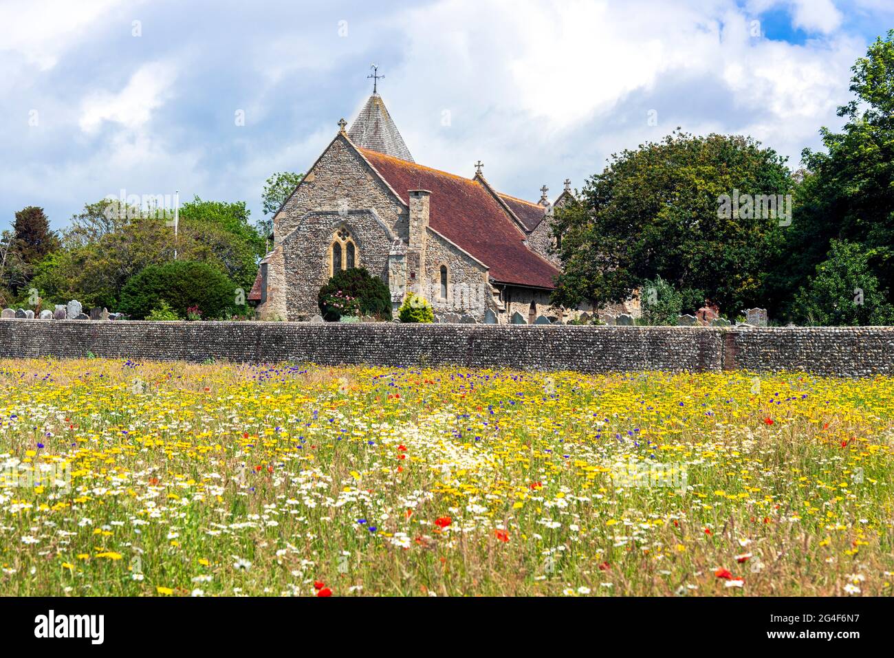 Wildflower meadow in full bloom in a field beside the local parish church of St. Peter and St. Paul, West Wittering, Chichester, West Sussex, England Stock Photo